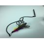 stainless steel telescopic pole dog flirt customized feather attachment