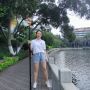Flip lock pro aluminum telescopic pole for fruit picker