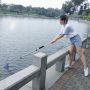 Flip lock Extension Pole for cleaning swimming pool
