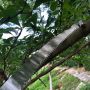 custom Color flip lock pro adjustable aluminum extension rod sign OEM Aluminum Telescopic Pole with telescopic tree pruner 