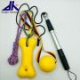 Pet flirt training pole
