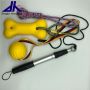 Pet flirt training pole