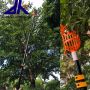Easy work aluminum telescopic fruit picker