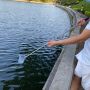 Custom length stainless steel portable water sampler telescopic rod