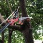 21FT Customized Length And Color Telescopic Aluminum Extension Flip Lock Pro Pole With Telescopic Tree Pruner