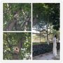 Grabber Telescopic telescopic pole with magnet for birdcage hanging pole Christmas lights hanging stick Hanging Tool 